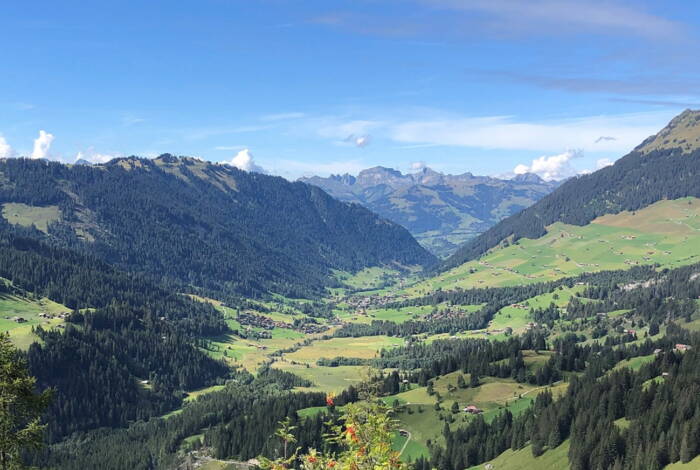 lauenen.jpg